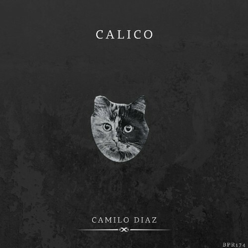  Camilo Diaz - Calico (2024) 