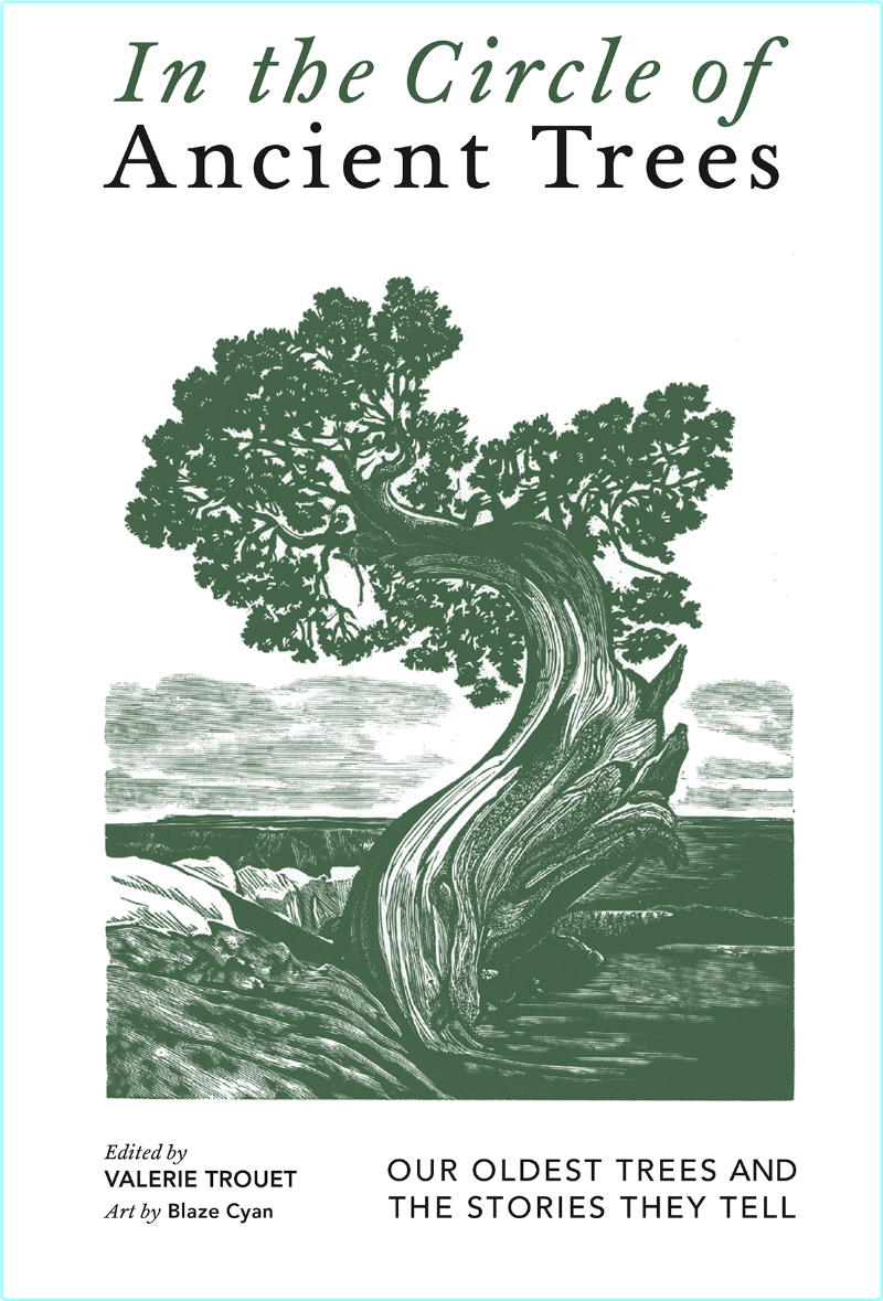 [Image: ME17I025_o.png]