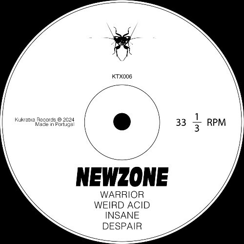 MP3:  NEWZONE - Insane (2024) Онлайн