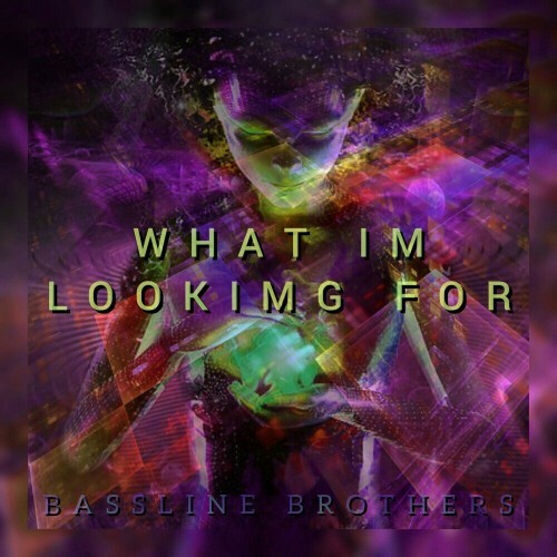  Bassline Brothers - What I'm Looking For (2024)  MEVAYBS_o