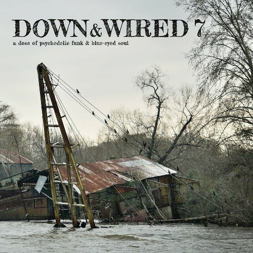  Down & Wired 7 (2024)  MEWD9OO_o