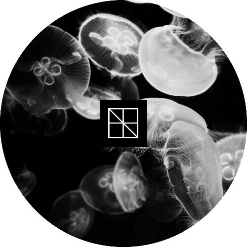 Stijn Vanmarsenille — Underneath The Sea Lies An Ocean Part 2 (2026)