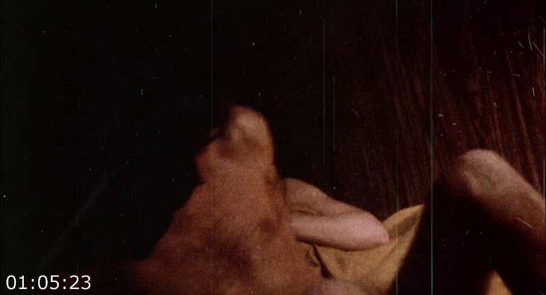 [Kép: ME1BHTV7_o.png]