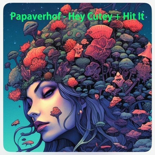  Papaverhof - Hey Cutey / Hit It (2026) 