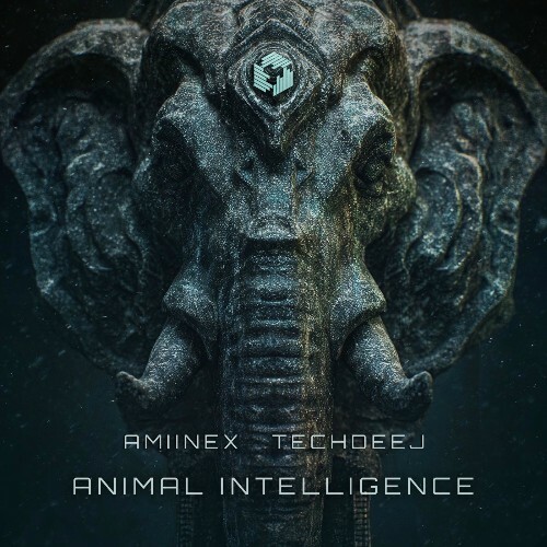  Amiinex - Animal Intelligence (2025) 