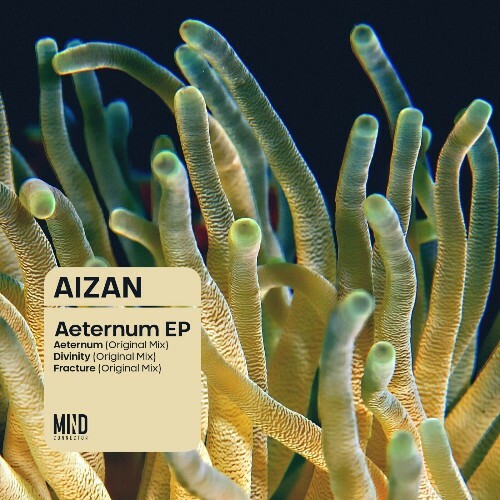 VA - Aizan - Aeternum (2024) (MP3) MEULS25_o