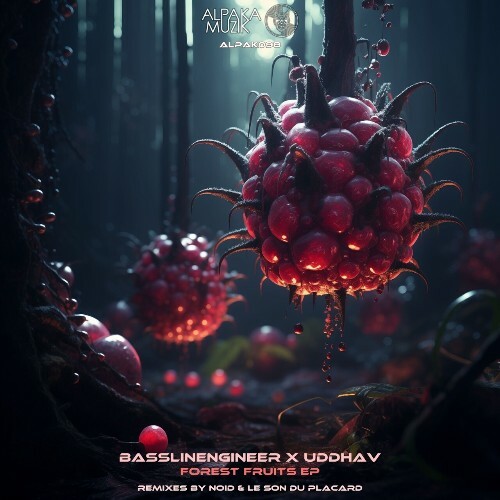  Basslinengineer x Uddhav - Forest Fruits (2024)  MES164V_o