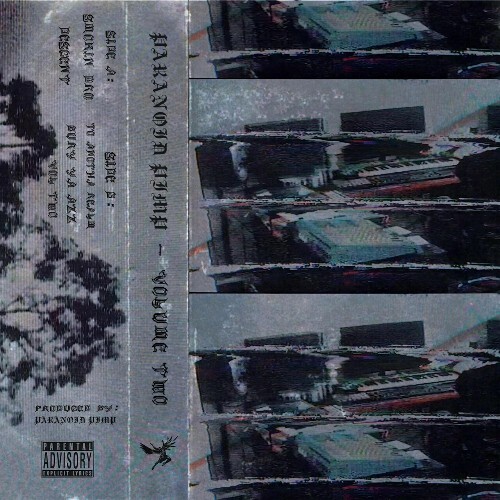 Paranoid Pimp - Volume Two (2025) Paranoid Pimp - Volume Two (2025)
