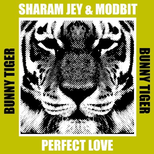  Sharam Jey & MODBIT - Perfect Love (2024) 