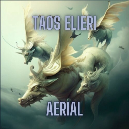  Taos Elieri - Aerial (2023) 