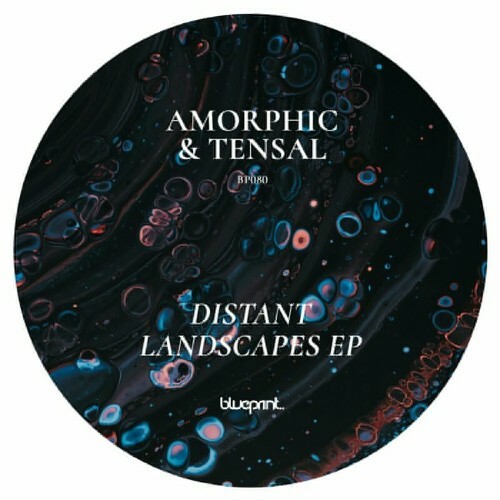  Amorphic & Tensal - Distant Landscapes (2024) 