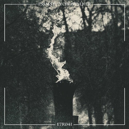  PSSMST - Voidwalker (2025) 