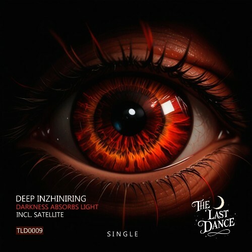 Deep Inzhiniring - Darkness Absorbs Light (2025) 