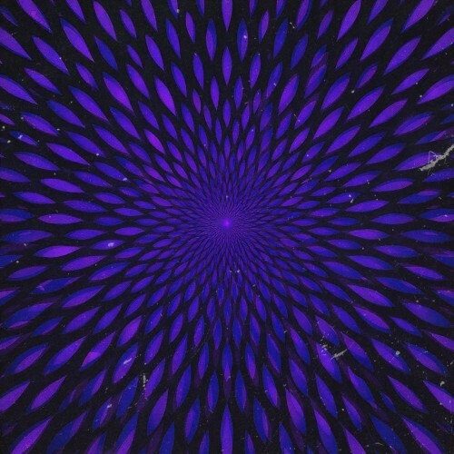  KJEE - Fixed Rotation (2026) 