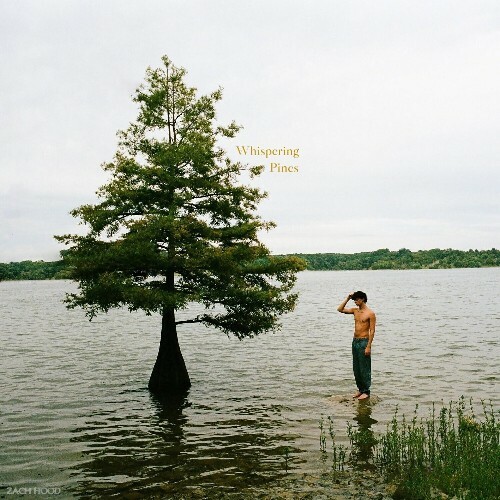  Zach Hood - Whispering Pines (2024) 