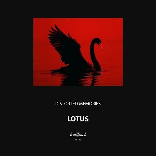  Distorted Memories - Lotus (2025) 