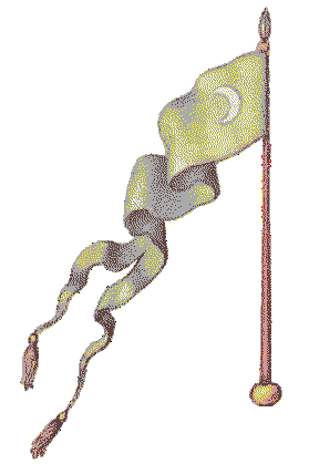 A yellow flag bearing a crescent moon symbol.