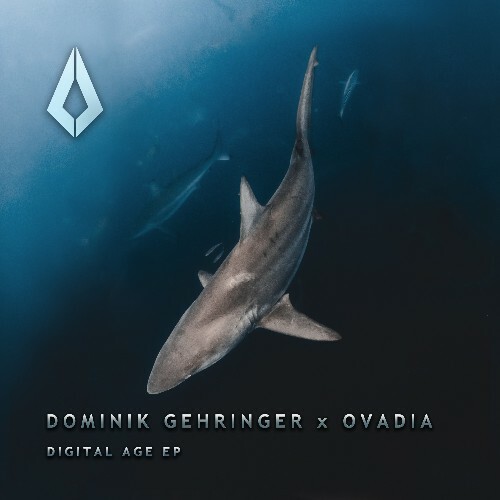  Dominik Gehringer & Ovadia - Digital Age (2024) 