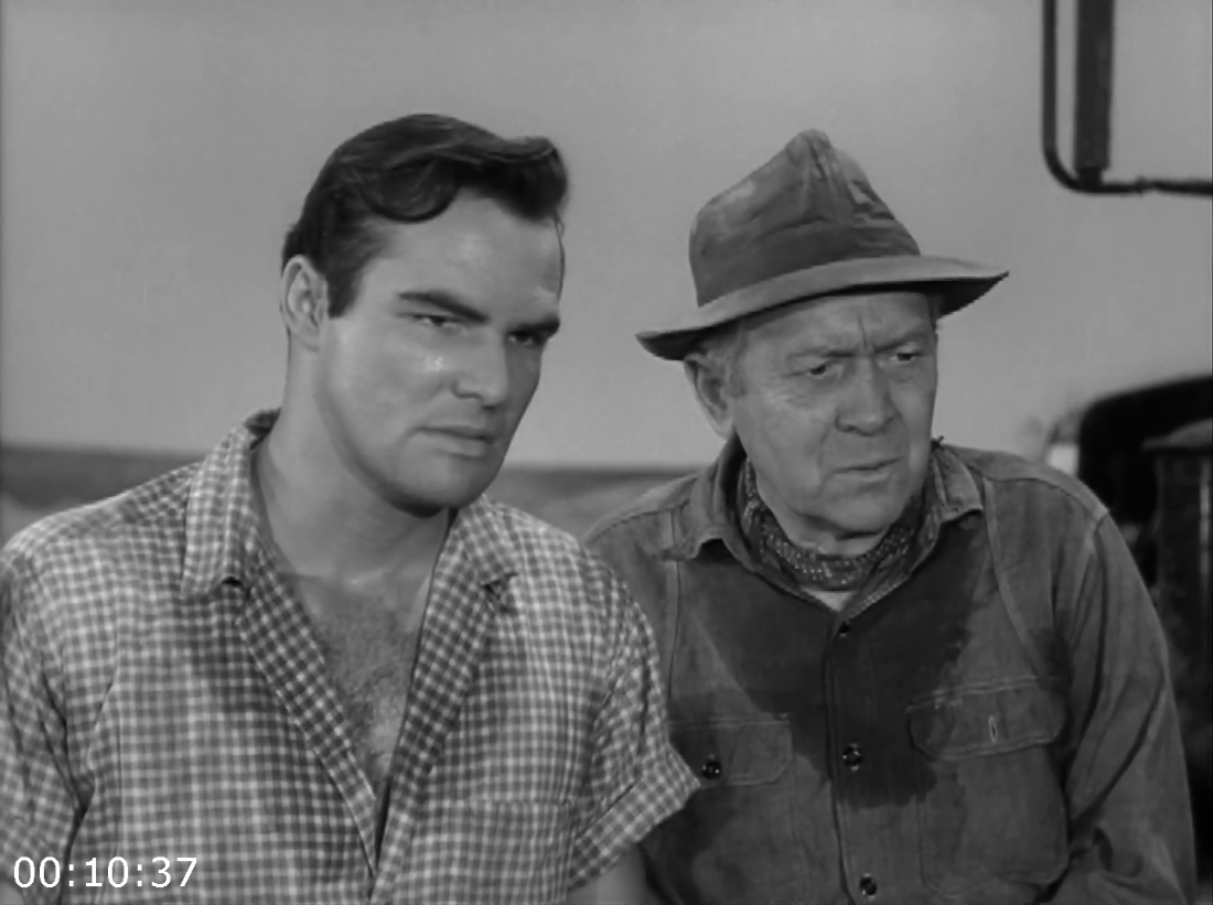 [Kép: ME19HPA1_o.png]