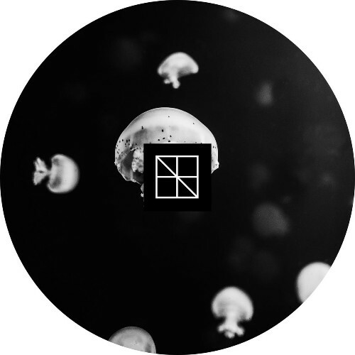 Stijn Vanmarsenille — Underneath The Sea Lies An Ocean Part 1 (2026)