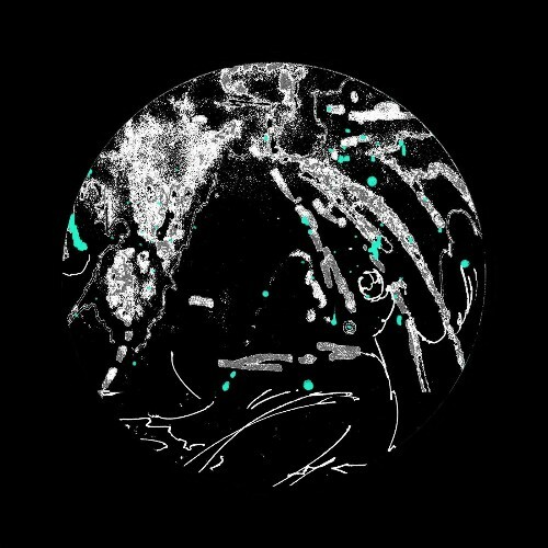  Rare Mamba - White Lotus (2026) 