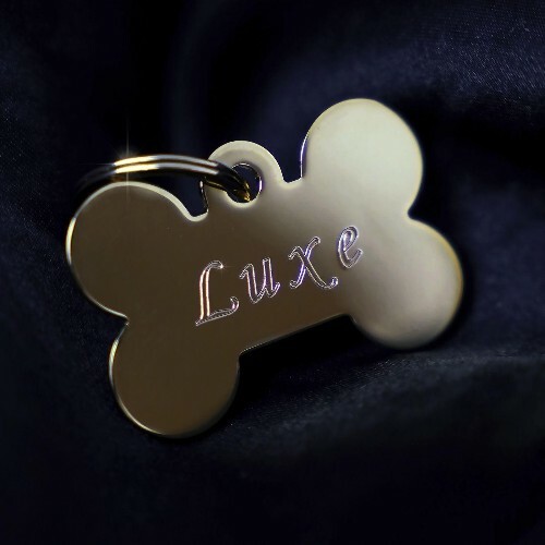  Dogue de Luxe (2026) 