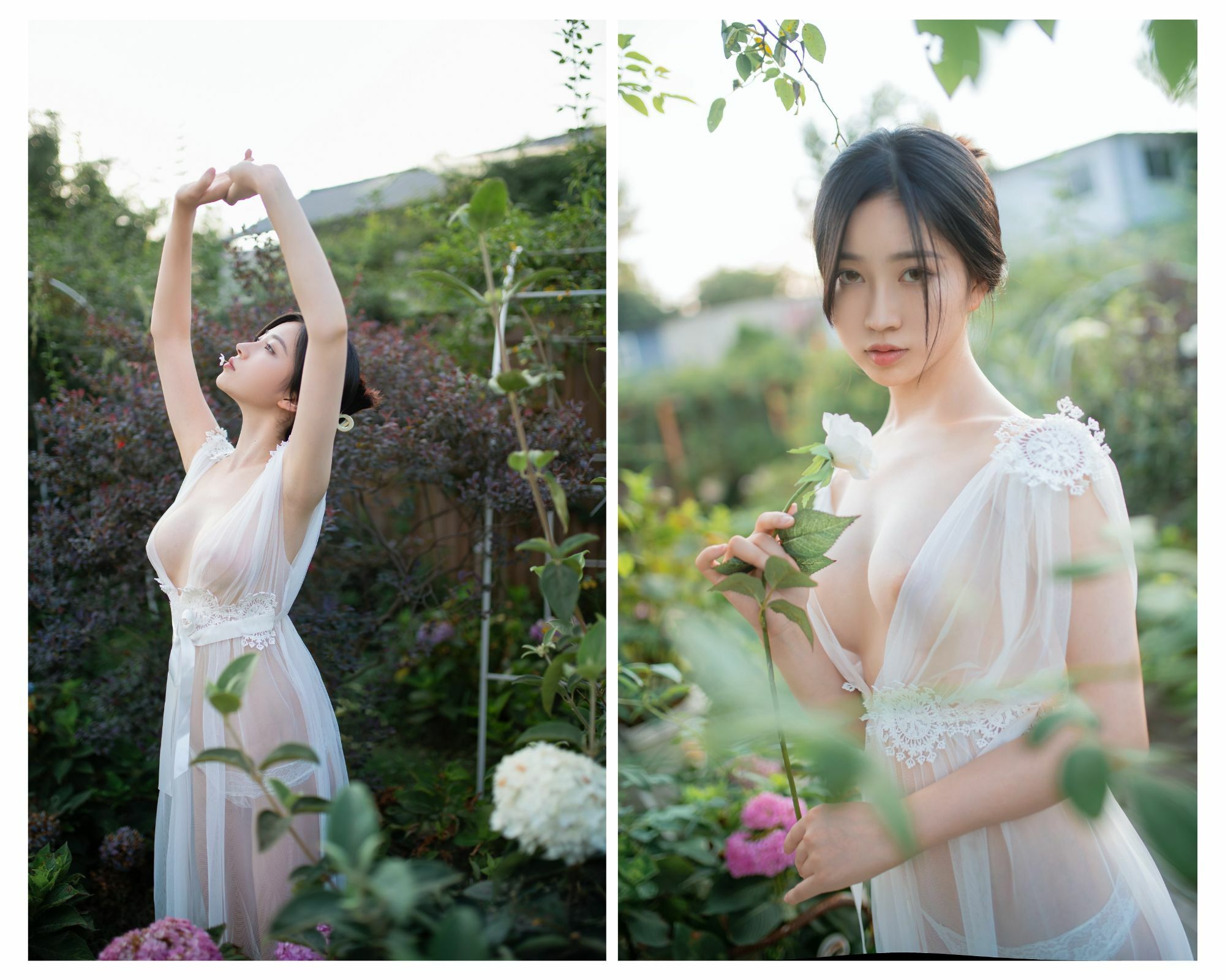 No Description No Description