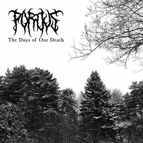  Porous - The Days of Our Death (2025) 