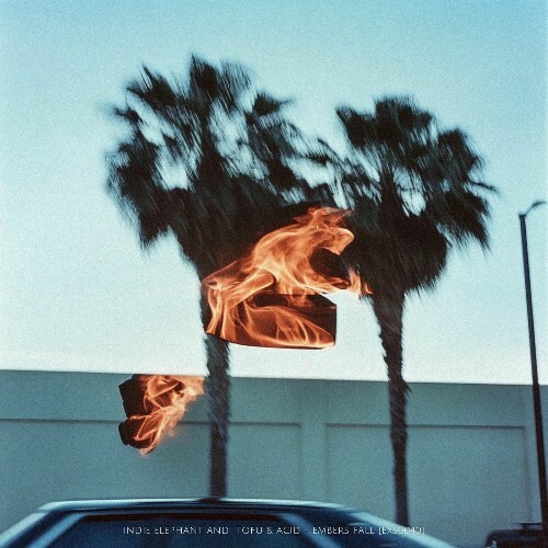  Indie Elephant & Tofu & Acid - Embers Fall (2025) 
