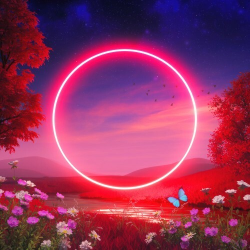  Solomon - HONEYCOATED (2025) 