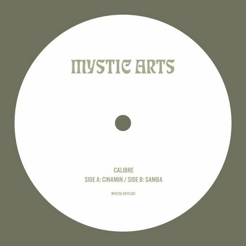 Calibre - Cinamin / Samba (2023) MP3