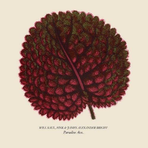  Will Saul & Fink - Paradise Ave (2025) 