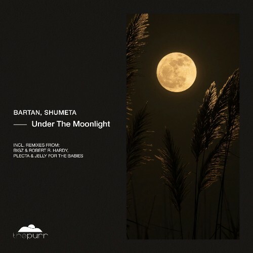 Bartan, Shumeta — Under The Moonlight (2026)