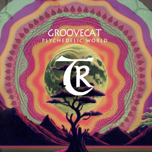  Groovecat - Psychedelic World (2025) 
