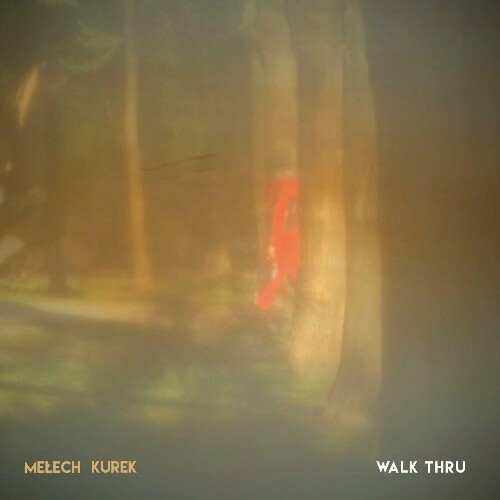 VA - Piotr Melech & Wojtek Kurek - Walk Thru (2024) (MP3) MEUCK85_o
