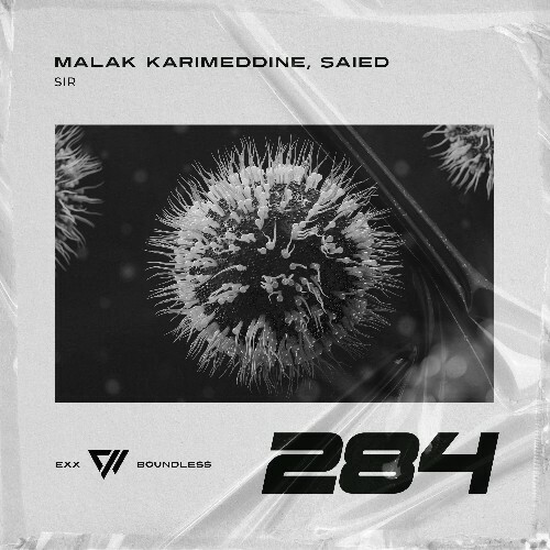  Malak Karimeddine & Saied - SIR (2025) 