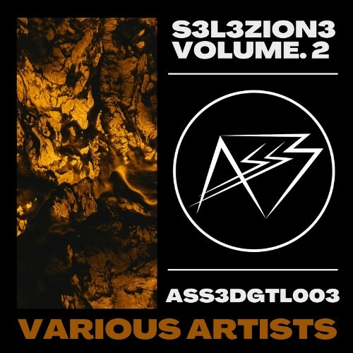  S3L3ZION3 Vol. 2 (2023) 