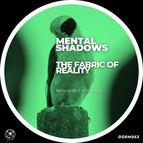  The Fabric Of Reality - Mental Shadows (2025) 