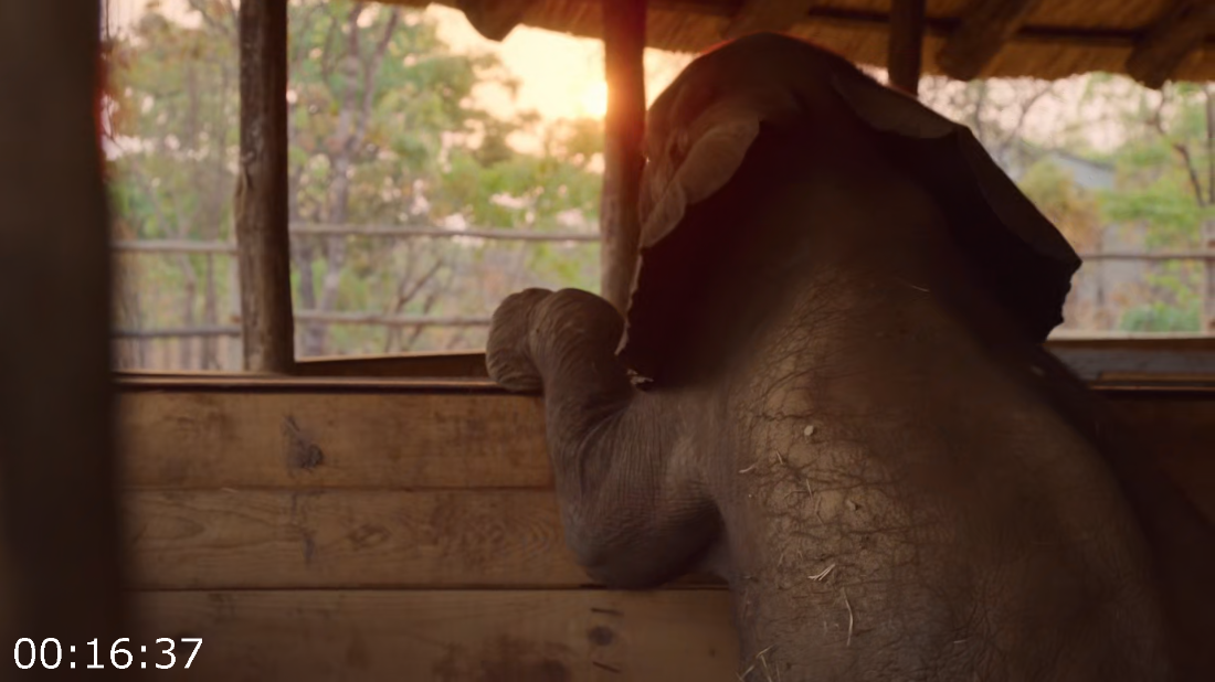 [Image: ME18VT88_o.png]