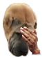 ME13M85Z_o.png