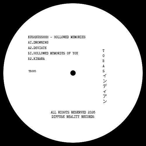  kushkusshhh - Hollowed Memories (2026) 