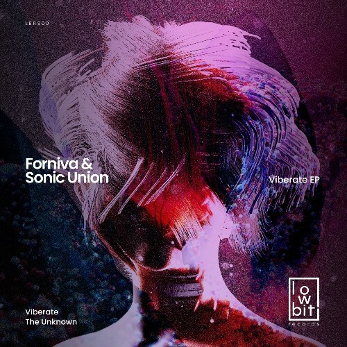  Sonic Union & Forniva - Viberate (2025) 