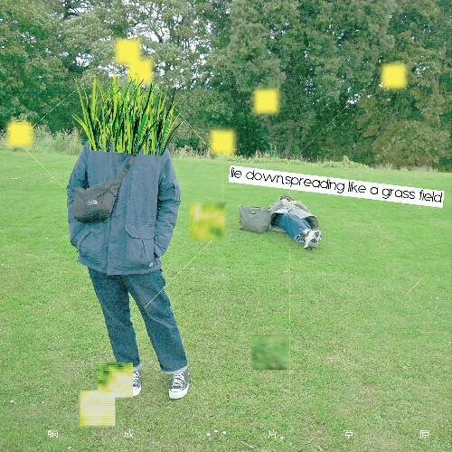  Shih Jin Wei - Lie Down, Spreading Like A Grass Field (2026) 