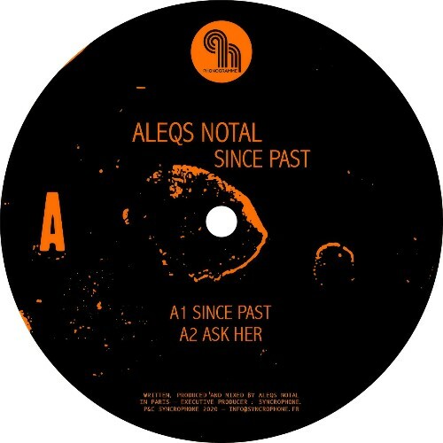  Aleqs Notal - Since Past (2026) 