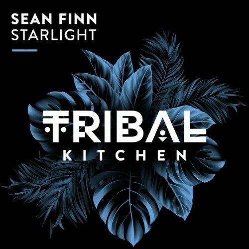 VA -  Sean Finn - Starlight (2024) [MP3] MEWQNAL_o