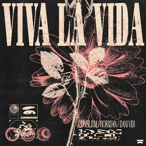 VA -  Consilium & RobxDan feat Dani Vidi - Viva La Vida (2024) [MP3] MEV6SVB_o