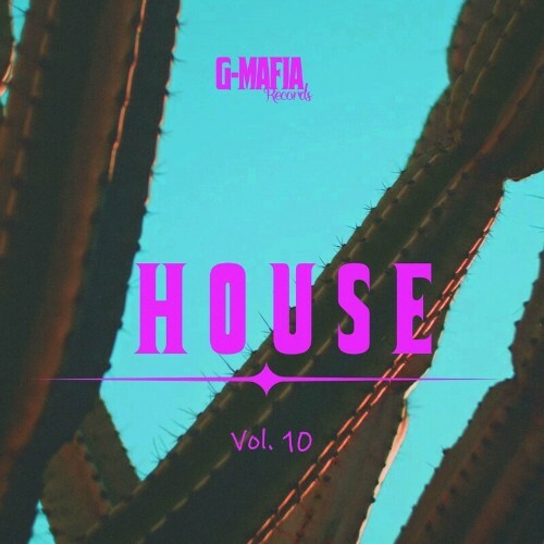  G-Mafia House, Vol. 10 (2024) 