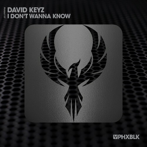  David Keyz - I Don't Wanna Know (2026) 