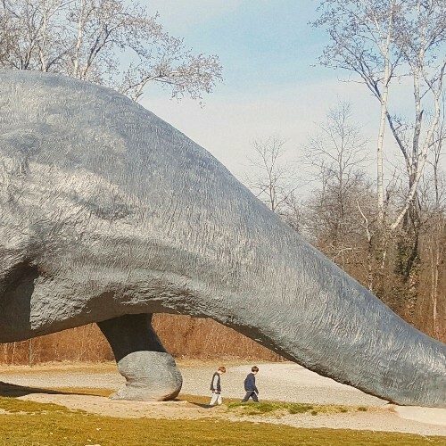  Sandri - Animalerie (2026) 