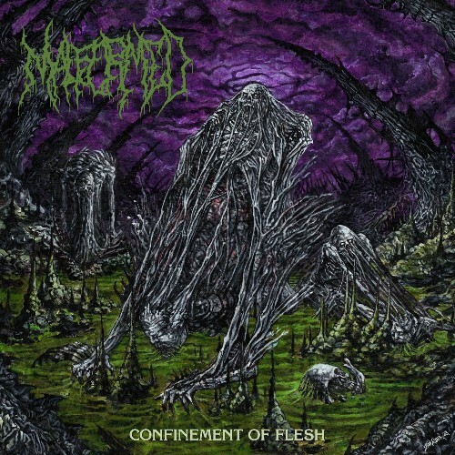 Malformed - Confinement of Flesh (2025) 